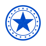 VGF Foundation Logo